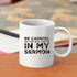 Be Careful Or You'll End Up In My Sermon Mug Coffee Mugs, Worlds Best Funny Pastor Gifts, Awesome Coffee Tea Cups For Preaches, Unique Novelty Min...