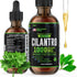 HERBIFY Cilantro Tincture - Herbal Cilantro Supplement for Detox - Rich Source of Antioxidants - Supports Heart and Body Cleanse - Made in USA - C...