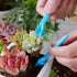 4 Pcs Pink Set Mini Garden Soil Spoon Plastic Planting/Transplanting Garden Tool Set Indoor Mini Garden Plant Care Shovel Soil Cup Bucket Shovel T...