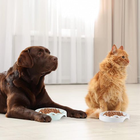 2 Pcs Cat Slow Feeder Bowl Pet Feeder Wet Food Slow Feed Raised Dish Healthy Eating Diet Fun Interactive Feeding Bowls for Cats and Dogs Dishwashe...