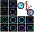 Bike Wheel Lights (2 Pack) - Waterproof LED Bicycle Spoke Lights Safety Tire Lights - Great Gift for Kids Adults - 30 Different Patterns Change - ...