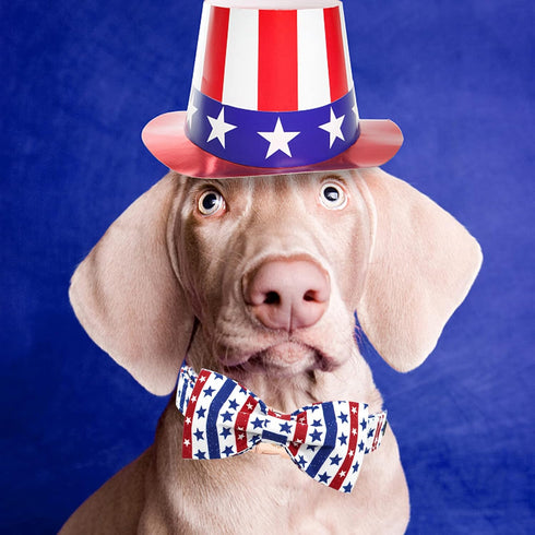 Elegant little tail Independence Day Dog Collar, American Flag Bowtie Dog Collars 4th of July American Pet Gift Adjustable Soft Puppy Collar for X...