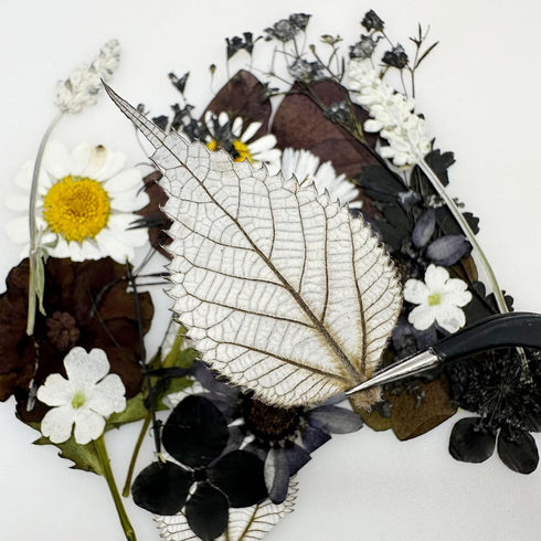 Cayway 2 Pack Dried Pressed Flowers for Resin Molds, Black Real Pressed Flowers Dry Leaves Kit Natural Dried Pressed Leaves for Art Crafts Resin S...
