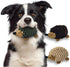 Plush Hedgehog Dog Toys 3 PCS - Squeaky Stuffless Hedgehog for Small and Medium Dogs - Keep Your Puppy Busy with Multi-Colored Interactive Pet Toy...