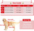 Malier Christmas Dog Collar with Bow tie, Christmas Classic Plaid Dog Collar Soft Durable Holiday Dog Collar for Small Medium Large Dogs Pet Puppy...