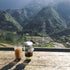 Vietnamese Coffee Filter Maker Press. Screw Down Phin Made in Vietnam. Authentic (1, Medium (8 oz))...
