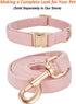 Soft Cotton Dog Leash, 5 Ft Heavy Duty Corduroy Dog Leashes with Gold Metal Hook for Small Medium Large Dogs,Small,Light Pink...