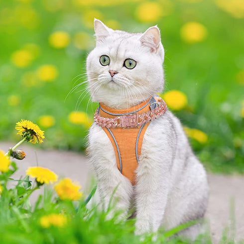 Dog Chain Collar Diamond Link Dog Collar Walking Dog Necklace Metal Cat Chain with Secure Buckle Pet Crystal Collar for Small Medium Large Dogs Ca...