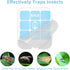 20 Pack Compatible with Safer Home Fly Trap Refill,Applicable to SH502?SH503?23005-06 and DT3005W?DT3005W-DS3,Indoor Fly Trap Plug-in Insect Trap ...
