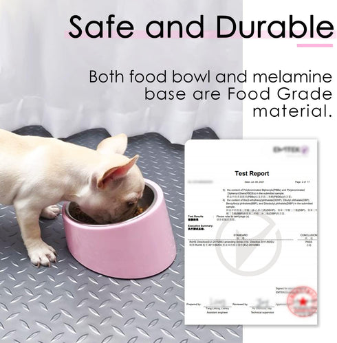 Super Design Mess Free 15° Slanted Bowl for Dogs and Cats, Tilted Angle Bulldog Bowl Pet Feeder, Non-skid & Non-spill, Easier to Reach Food S/0.5 ...