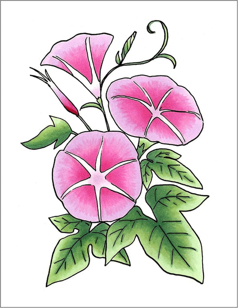Copic Sketch, Alcohol-based Markers, 3pc Set, Color Fusion #2, Pink...