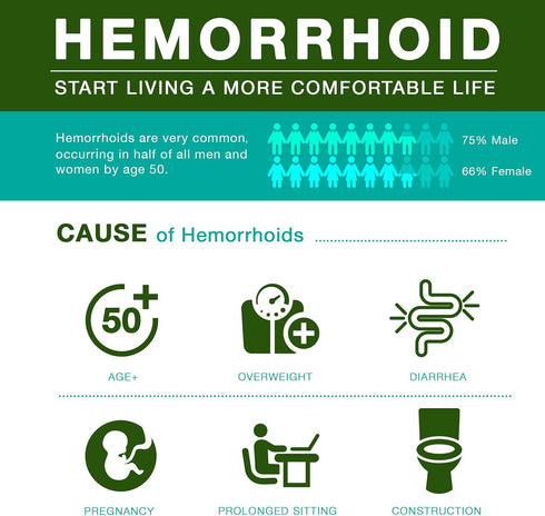 Hemorrhoid Cream, Hemorrhoid Treatment, Hemorrhoid & Fissure Ointment, Fast Relief Hemorrhoid Cream Healing Formula, Hemorrhoid Symptom Ointment (...