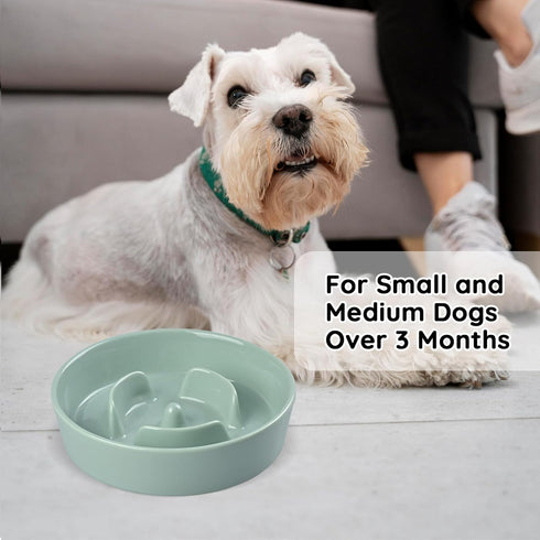 SPUNKYJUNKY Slow Feeder Ceramic Dog Bowls for Small Breed Slow Down Eating Anti-Choking Dishes Slow Feeding for Fun Pet Bowl(10OZ Bowl,Light Green...