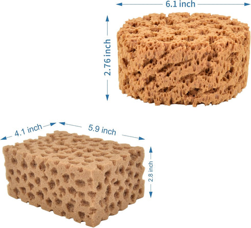 Hanroy Large Sea Sponges for Artists Unbleached 2pc Value Pack Art Texturing Decorators Sponging Great for Home Wall Painting Decorating (HMTZ-2)...
