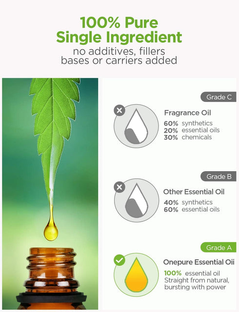 Essential Oils, 6 x 10ml Essential Oils Gift Set for Diffuser Humidifier Massage Aromatherapy (Lavender, Tea Tree, Eucalyptus, Lemongrass, Orange,...