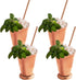 Sol Living Mint Julep Cups Set of 4, 12 oz Stainless Steel Lining Copper Cups Handcrafted Kentucky Derby Cups Barware Set for Cocktails Mixed Drin...
