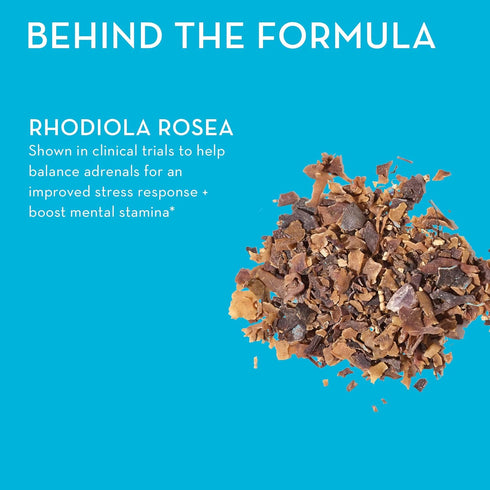 HUM Big Chill - Calming Supplement with Rhodiola Rosea for Stress & Mood Support - Balances Adrenal Health for Improved Stress Response (30-Count)...