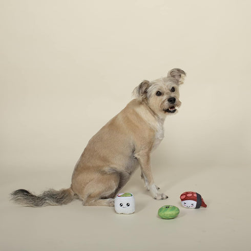 Fringe Studio Plush Dog Toy Set, SUSHIHOLIC, 3 Piece Set, for Small Dogs (289527)...
