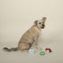 Fringe Studio Plush Dog Toy Set, SUSHIHOLIC, 3 Piece Set, for Small Dogs (289527)...