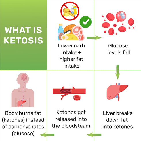 Ketone Test Strips, 150 Keto Test Strips for Keto, Low Carb Diet - Urine Test Strips, Ketosis Strips Test Urine, Keto Strips, Ketone Urinalysis Te...