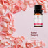 LOXIM Discovery Collection Essential Oil Set of 3 (Santal Sparkle, Rose Sugar, Citrus Pop) Fragrance Oils for Aromatherapy Diffuser, 100% Pure Nat...