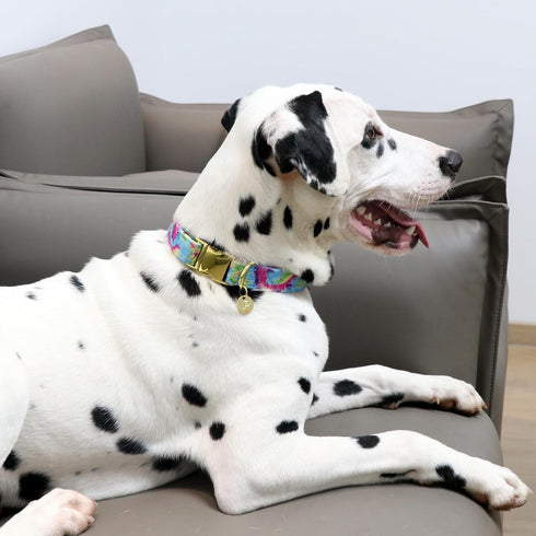 Tie Dye Summer Cotton Dog Collar with Metal Buckle Gift Collar for Small Medium Large Girls or Boys Dogs Cute Durable Comfortable Pet Collars...