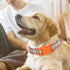 Orange Dog Collar for Large Dogs, Cute boy Girl Dog Collar with Tribal Ethnic Aztec Patterns,Adjustable Comfy Soft Dog Collar Pet Cat Collar for X...
