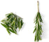 Chef'n Zipstrip Herb Stripper, Arugula/Avocado -...