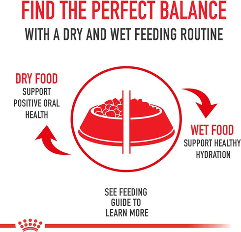 Royal Canin Shih Tzu Adult Breed Specific Wet Dog Food, 13.5 oz. can...