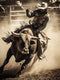 LEARTDYY DIY 5D Diamond Art Kits Painting for Adults Western Cowboy Bull Riding Rodeo 30x40cm/12x16inch...