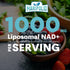Liposomal NAD+ Supplement 1000 mg | Highest NAD Pontecy | Max Absorption | Pure NAD Supplement | Energy and DNA Repair, Aging Defense, Brain Funct...