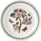 Portmeirion Botanic Garden 10.5-Inch Dinner Plate, Flowering Almond Design - Durable Earthenware Tableware, Microwave, Dishwasher, Freezer Safe, F...