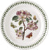 Portmeirion Botanic Garden 10.5-Inch Dinner Plate, Flowering Almond Design - Durable Earthenware Tableware, Microwave, Dishwasher, Freezer Safe, F...