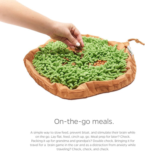 Pet Parents® Forager® Bowls, Slow Feeder Dog Bowls with SoftSnout™ & Non-Slip Backing Technology, Dog Puzzle Toys, Dog Snuffle Mat & Snuffle Mat f...