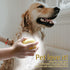 Dog Bathing Brush, Pet Massage Brush Shampoo Dispenser, Soft Silicone Brush Rubber Bristle for Dogs and Cats Shower Grooming (Yellow)...