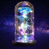 QUELIEN Beauty and Beast Rose,Galaxy Flower Rose Gift for Girlfriend?Glass Flower Roses?Unique Gifts for Women, Christmas, Birthday,Thanksgiving,A...