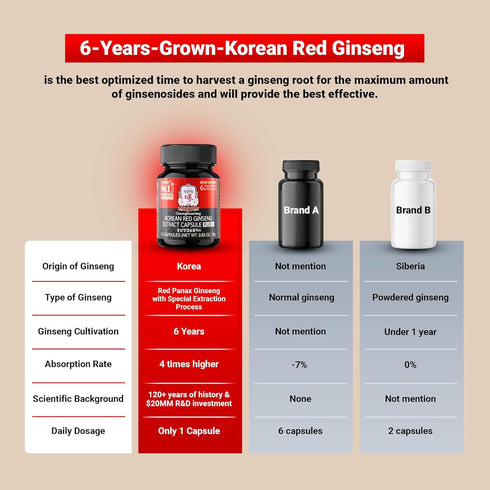 CheongKwanJang Korean Red Ginseng Extract Capsules Plus -All-in-1 Focus Pills for Men & Women, Natural Energy Supplements,Circulation, Immune Supp...
