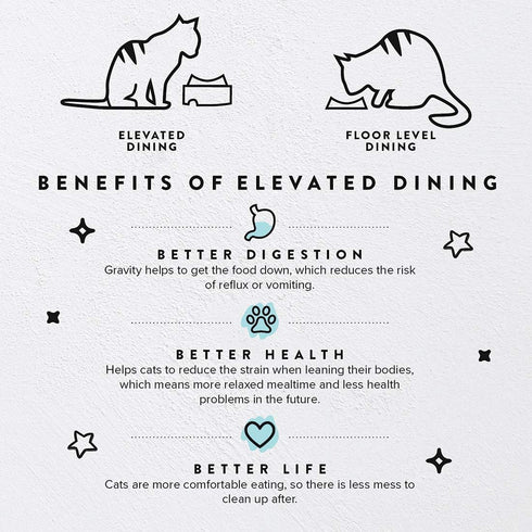 CatGuru Food Table for Cat Bowl, Non Slip Pet Feeding Station for Cat Food Bowls, Raised Stand for Food and Water Cat Bowls, Elevated Cat Feeder, ...