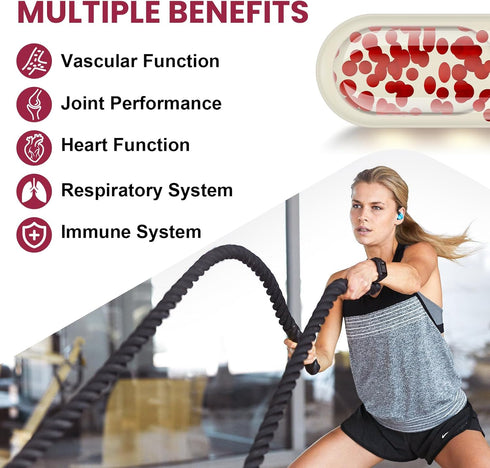 French Maritime Pine Bark Extract 200 mg, Unique Dual-Delivery for Maximum Absorption, Premium Pycnogeno with PQQ for Vascular & Heart & Joint Fun...