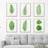 11Pieces Large Leaf Stencil Palm Fern Leaf Stencils for Painting on Walls Nature Tropical Plant Leaves Paint Stencils for Furniture Canvas Home De...