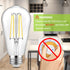 WIHTU Vintage LED Edison Bulbs, 6W Equivalent 60W, ST58 Antique LED Filament Bulbs, LED Light Bulbs with 95+ CRI, High Brightness Daylight 4000K, ...