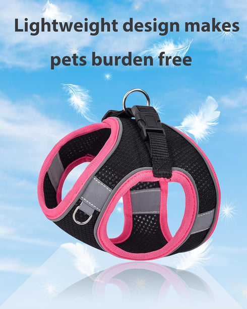 Dog Harness for Small Medium Sized Dog, Puppy Harness and Leash Set Training, Dog Harness and Leash Set, Dog Vest Harness, Dog Harness Small Sized...