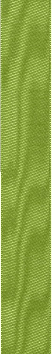 Berwick Offray 7/8" Wide Double Face Satin Ribbon, Kiwi Green, 100 Yards...