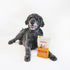 Pupford Cheese Crunchies, Premium Single-Ingredient Treat for Dogs & Puppies (Cheddar, 7.50 oz)...