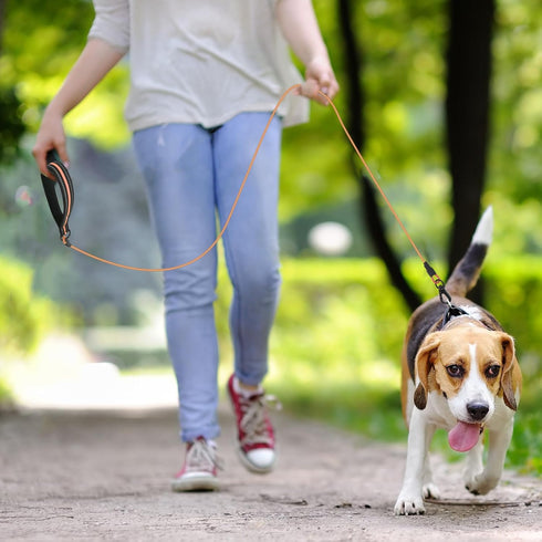 Chew Proof Dog Leash - 6 FT Metal Dog Leash,Heavy Duty Waterproof Dog Leash Made of Coated Wire Rope,with Cushioned Handle.Chew Resistant,Great fo...