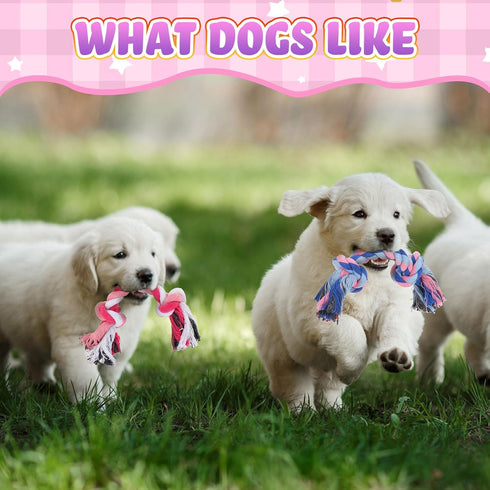 12 Pcs Rope Dog Toys Multi Color Puppy Rope Toy Cotton Puppy Toys Dog Chew Rope Puppy Teething Toys for Small and Medium Dogs Puppies...