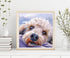 Diymood DIY 5D Diamond Painting Kits for Adults Dog Puppy - Diamond Art Kits for Adults Animal | Full Drill Round | Crystal Mosaic Picture | Begin...