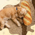 HOMBYS Large Dog Pillow for Large, Medium & Small Dogs, Cute Baguette Designs Dog Claming Pillow for Neck Support, Improve Anxiety Relief-20"x7.5"...
