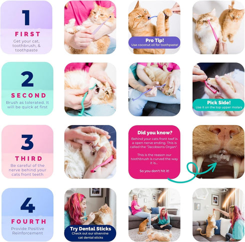 RYERCAT Dual Sided Cat Toothbrush - Kitten Toothbrush with Micro Head to fit into Cat/Kittens Mouth - Cat Dental Care Supplies - Pet Toothbrush fo...