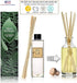 Urban Naturals Pumpkin Brulee Reed Diffuser Refill Oil | Autumn & Winter Home Scent | Creamy Pumpkin Pie, Nutmeg, Maple & French Vanilla | Made in...